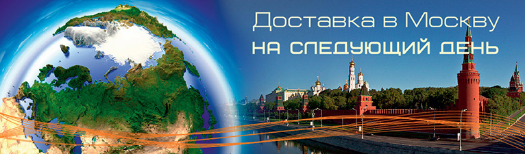 Доставка в Москву на следующий день